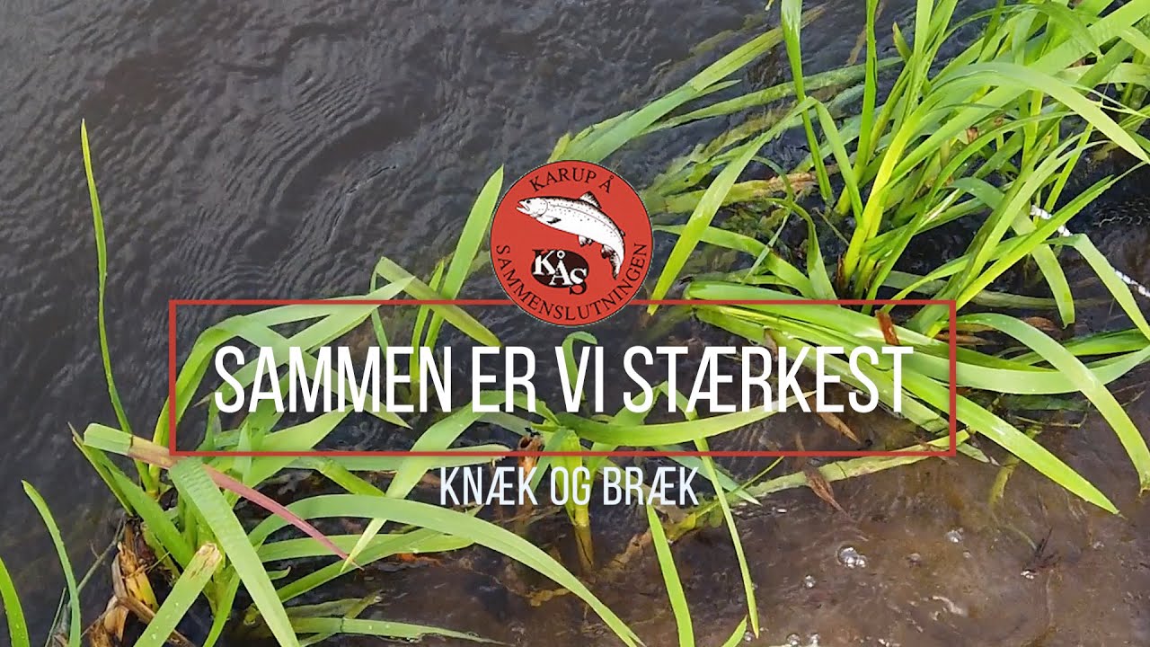 Sammen er vi stærkest • Støt vandplejen i Karup Å