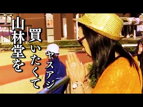 【競馬MAD/替え歌】あなたに逢いたくて~Missing You~(cover)松田聖子/ヤスアジTV
