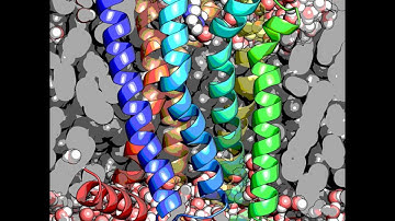 Adenosine Receptor A2A with Caffeine