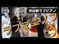 暑い【ストリートピアノ】イスタンブールからこんにちは/渋谷駅桜丘に響くロシアの音色/ラフマニノフ夏的メドレーchicacoshka plays Rachmaninoff