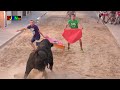 2 Toros cerriles fiestas Sant Joan - Nules (Castellon) 15-06-2019 Bous Al Carrer [Toros FJGNtv]