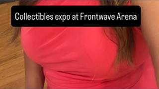 Collectibles expo at Frontwave Arena