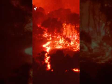 California wildfire forces