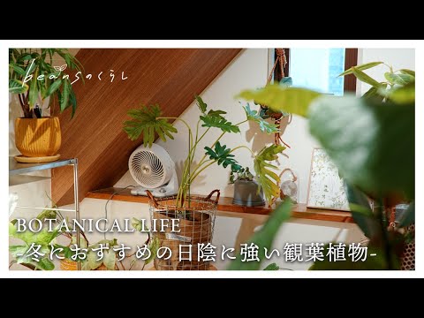 庭師が教える、もう二度と育てない植物6選 ～私の苦い失敗談～