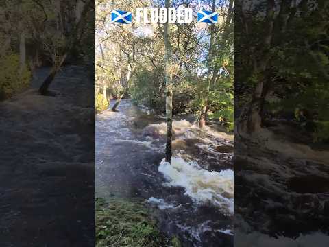 Coy burn and river Dee with very high water levels at Milton of Crathes