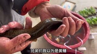 小伙摆摊卖鱼3个月了，今天算了一下总收入，看看一共卖了多少钱 #我的乡村生活 #农村赶集 #新农人计划2024