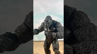 Godzilla wants a rematch #godzilla #kong #hiyatoys #stopmotion #godzillaxkongthenewempire