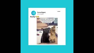 Follow @forcedigest for your daily dose of tech humor and epic certification tips! 🎯