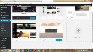 How to Delete theme and Plugins from WordPress site