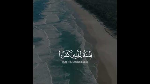 تلاوه خاشعه | بصوت القارئ رعد الكردي | حالات واتس اب دينيه♥♥.