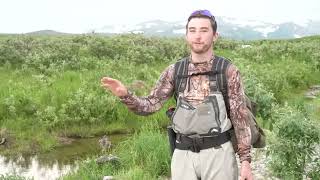 Bear Viewing is Safer Than Public Transportation Funny Clip for the lols @joerogan by Grizzly Alaska 1,353 views 11 months ago 1 minute, 2 seconds