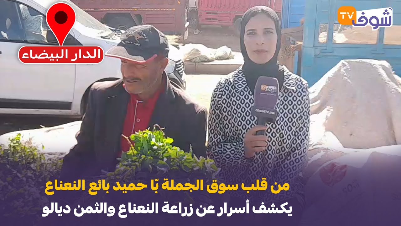 من الدار البيضاء: من قلب سوق الجملة بّا حميد بائع النعناع يكشف أسرار عن زراعة النعناع والثمن ديالو