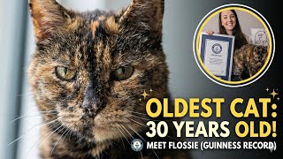 FLOSSIE IS OFFICIALLY THE OLDEST LIVING CAT AT 30 YEARS OLD TODAY