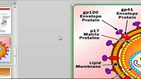 HIV-AIDS Information Powerpoint