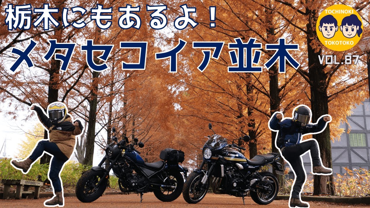 87】栃木にもあるよ！メタセコイア並木が！ - YouTube