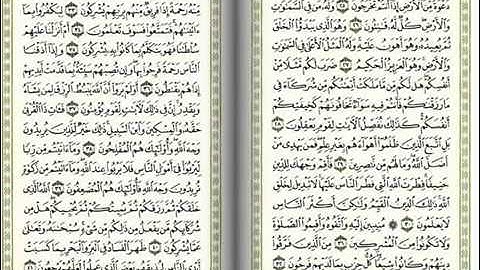 تلاوق رائعة.... سلمان العتيبي سورة الروم-