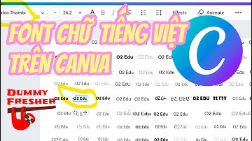 Tải font chữ tiếng Việt trên Canva (phông Việt hóa Canva)