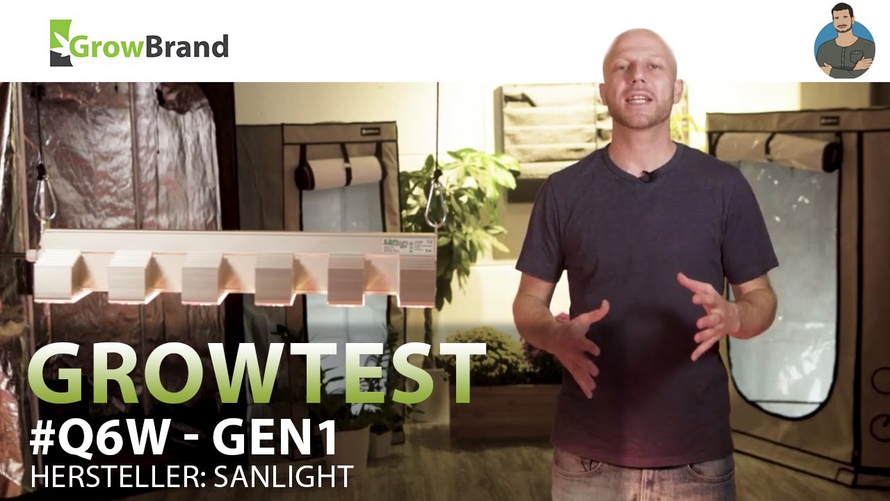 Sanlight Q6W Gen. 1 || Growtest von GrowBrand