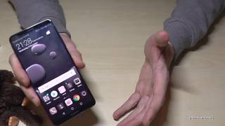 Huawei Mate 10 (Pro): How to make screen recording? (record screen action - screenvideo) screenshot 4