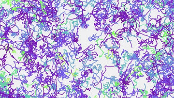 2015 ADI Life Science Symposium | Thierry Emonet, Tom Shimizu, Steven Zucker