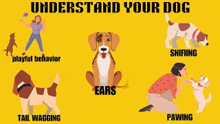 How To Understand Your Dog Better! by For Pet Owners 160 views 3 weeks ago 3 minutes, 22 seconds