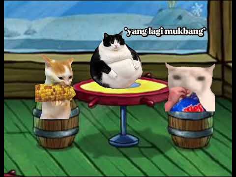 KEGIATAN DI BIKINI BOTTOM SAAT BUKA PUASA#kucinglucu #fypyoutube #kucingmeme