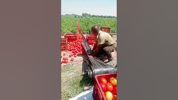 Unbelievable DIY Machine! 💡💸 This Man Saved Thousands Without Hiring Workers! | #Innovation #Shorts