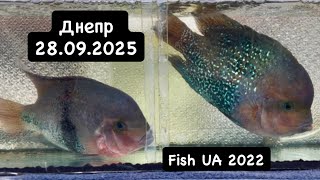 :   28.09.2025 (  ) 