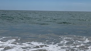 Sea Isle City Beach Report August 6