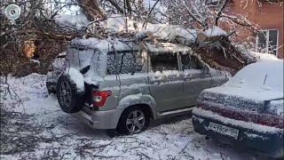 НОВОСТИ в 20:30 – 24 ноября 2025