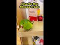 Charlie the Fitness Freak