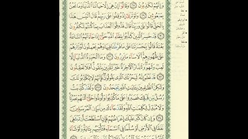 الورد اليومى.. سورة الأنعام من الاية 28 الى الاية 35 بصوت القارئ الشيخ ياسر الدوسرى