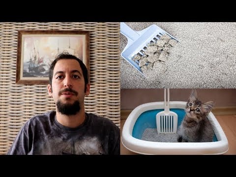 Video: Kedi Kumu Nelerden Yapılır?