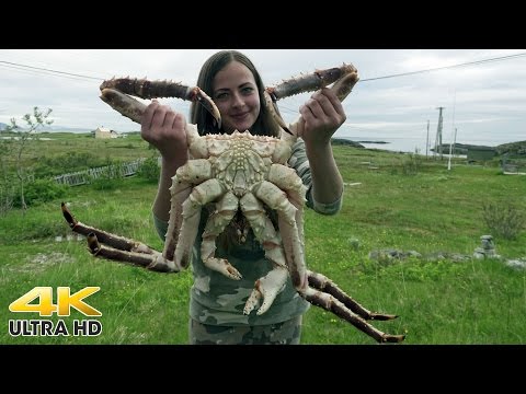 Video: Jaký je nejlepší krab v konzervě?