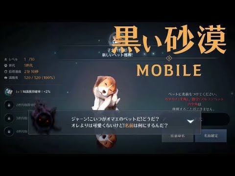 はちみつちゃんねる