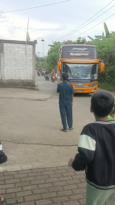 pool bus MSM Asyrof #busbasuri #busmania #msmasyrof #busviral