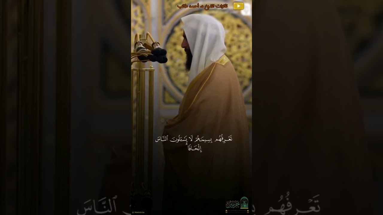 مقتطف بالبيات الماتع من صلاة القيام 1446هـ لــ الشيخ د. أحمد طالب