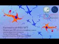 Научный клуб ФББ. Алексей Паевский. Микроглия: 100 лет исследования самых загадочных клеток мозга.