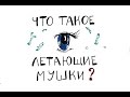 Что такое Летающие Мушки?