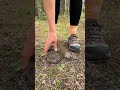 Shock!😱! GIRL uses cow POOP!🐄💩#camping #survival #bushcraft #outdoors #lifehack image