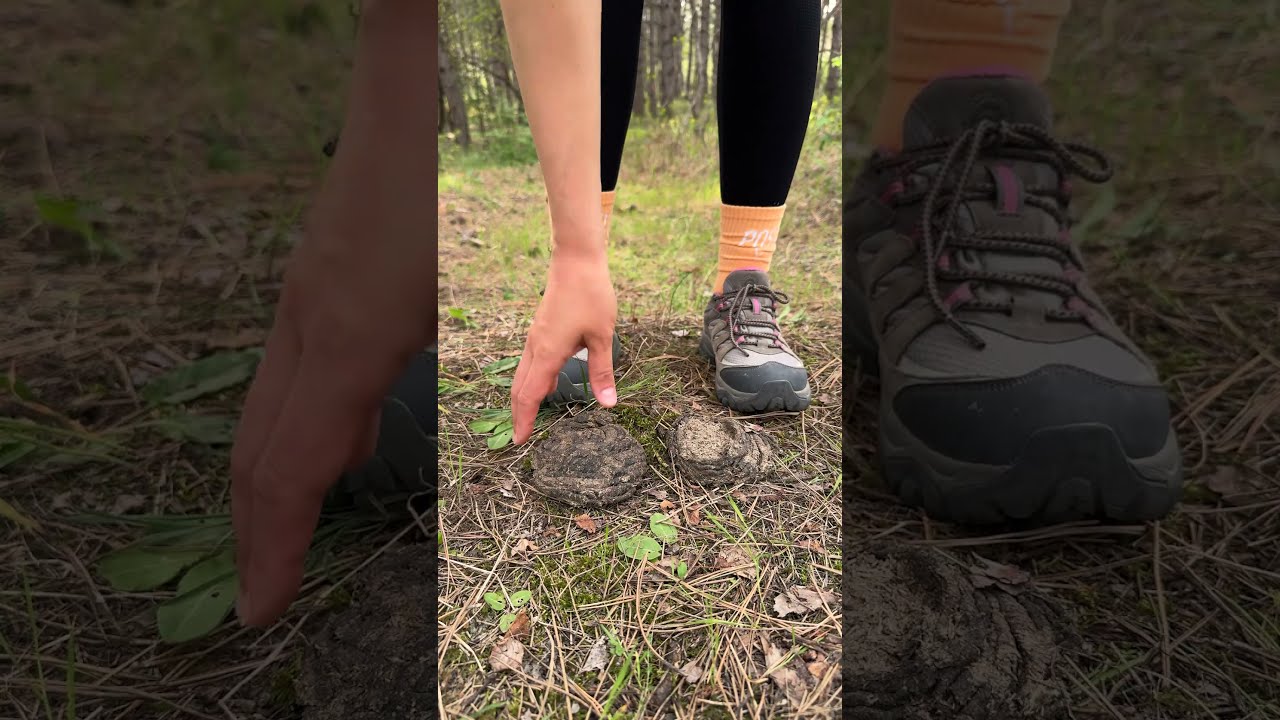 Shock GIRL Uses Cow POOP Camping Survival Bushcraft Outdoors Lifehack
