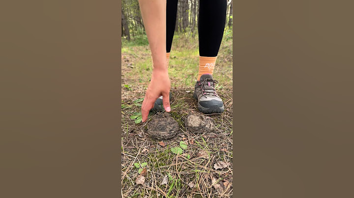 Shock!😱! GIRL uses cow POOP!🐄💩#camping #survival #bushcraft #outdoors #lifehack