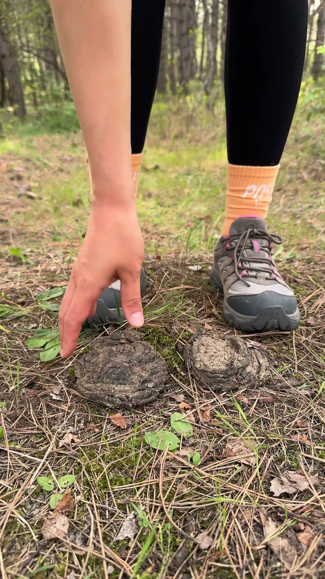 Shock!?! GIRL uses cow POOP!??#camping #survival #bushcraft #outdoors #lifehack