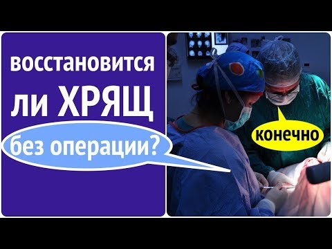 Видео: Был ли это суставной хрящ?