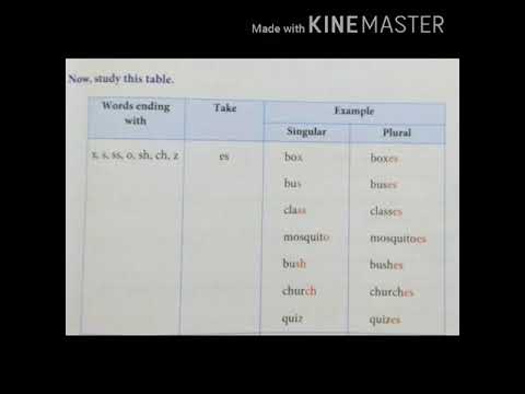 stdiii grammar worksheet no6 part 2 youtube