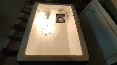 Eggs Hatching Semi Automatic Incubator || 100 Eggs Incubator Semi Automatic || Cheapest Price