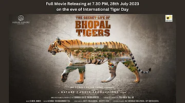 The Secret Life of Bhopal Tigers - Full Movie