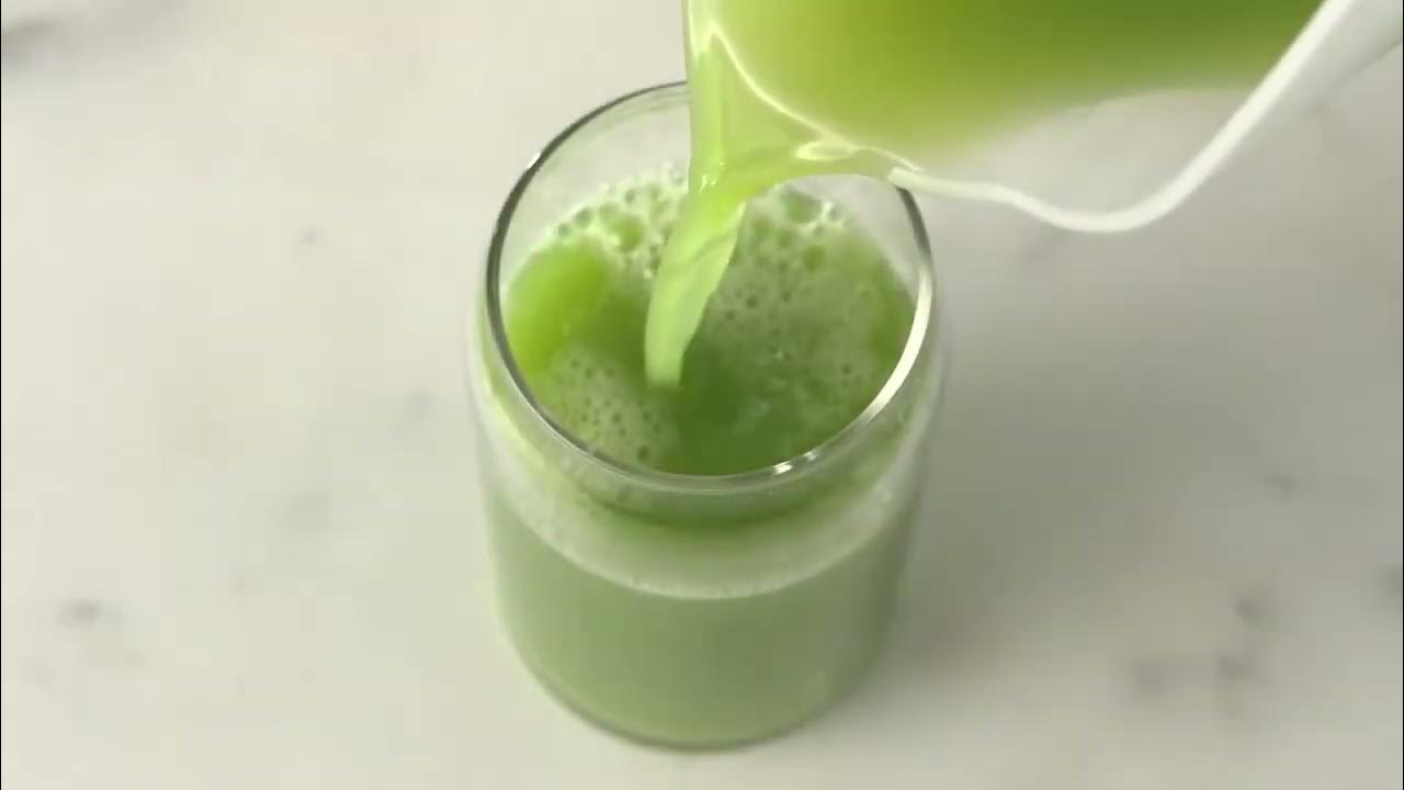 Omega MM1500 Slow Juicer Die Top Empfehlung Anthony William YouTube