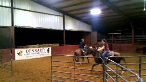 Valley View Ranch - Sallys Dual Pep 9-14-11 sorting 4