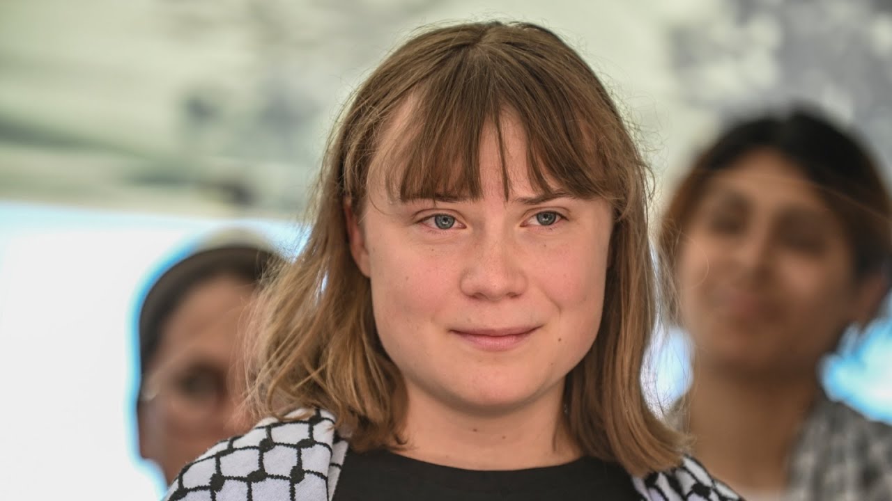 ‘We all fell for it’: Greta Thunberg torn apart over ‘ridiculous’ climate act